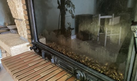 Destruction d'un nid de frelons européens à Marseille 